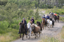 Iceland-East and South-Rift Valley Ride